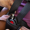 Load image into gallery viewer, Baby Trend Hybrid Combination Booster Car Seat comes with adjustable 5 point safety harness