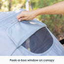 Load image into gallery viewer, Navigator® 2-in-1 Stroller Wagon in Madrid Grey (Target Exclusive)